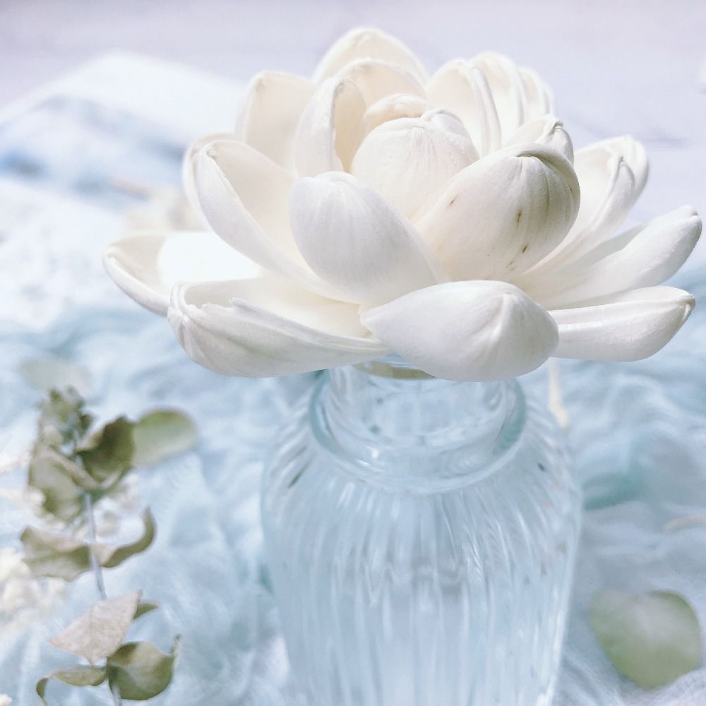 Home Fragrance Incense - Bunga Aromaterapi untuk Rumah, Stik Diffuser