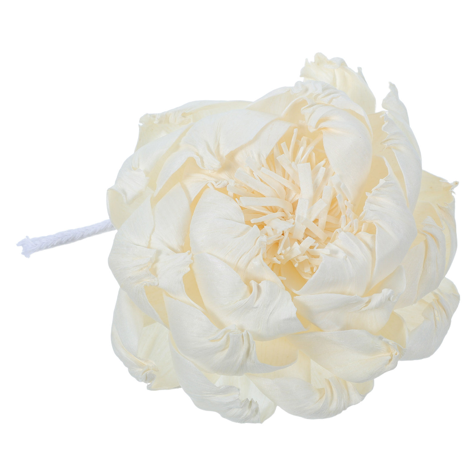 Diffuser Aroma Bunga Peony 12C - Home Fragrance Diffuser Oil ulasan dan harga