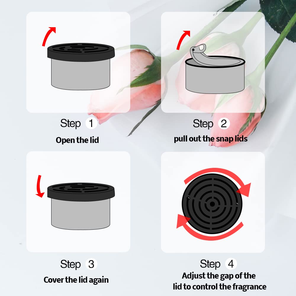 Penyegar udara mobil: aroma ke - Home Fragrance Products ulasan dan harga
