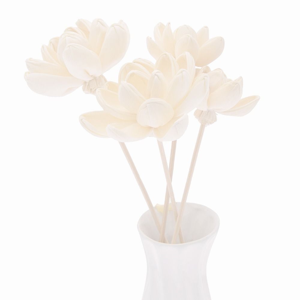 Bunga Aromaterapi untuk Rumah, - Home Fragrance Incense ulasan dan harga
